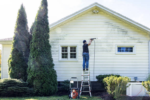 Best Pressure Washing Driveway  in Windcrest, TX